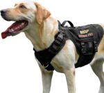 Adjustable No-Pull Dog Harness – Breathable Reflective Mesh Vest for Small, Medium & Large Dogs - Image 3