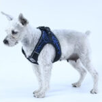 Adjustable No-Pull Dog Harness – Breathable Reflective Mesh Vest for Small, Medium & Large Dogs